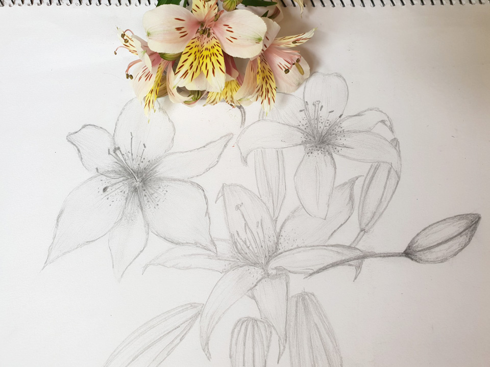 Still Life